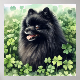 Black Pommern St patricks day Poster