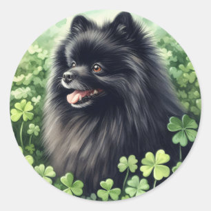 Black Pommern St patricks day Runt Klistermärke