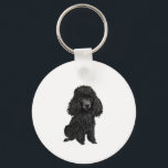Black Pudel (#3) Nyckelring<br><div class="desc">Svarta Leksak eller Miniature Pudel ger - bara hund,  ingen bakgrund. Perfekta. Du kan använda knappen "Anpassa" om du vill lägga till en egen bakgrund eller text. Hitta unika Pudel-utformningar,  inklusive julhälsningskort och prydnadsföremål på: DogArtGifts.com</div>