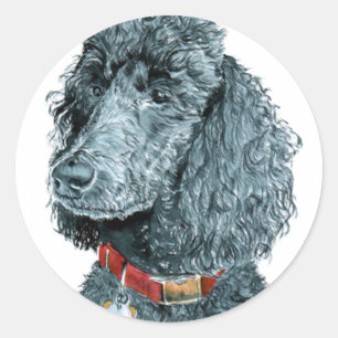 Black Pudel Whitney Stickers Runt Klistermärke