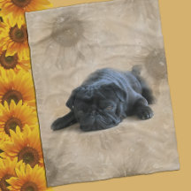 Black Pug Älskare Hund