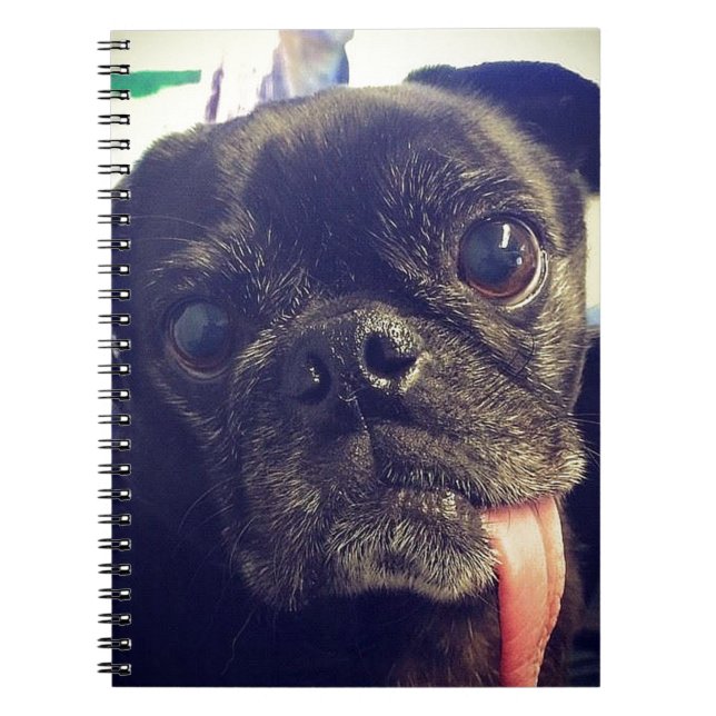 Black Pug Anteckningsbok (Framsidan)