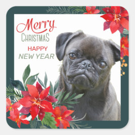 Black Pug Hund Poinsettia Bouquet jul Fyrkantigt Klistermärke