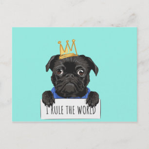 Black Pug Hund W/Krona, regel världen över Vykort