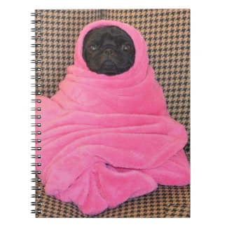 Black Pug in A Rosa Blanket Anteckningsbok Med Spiral