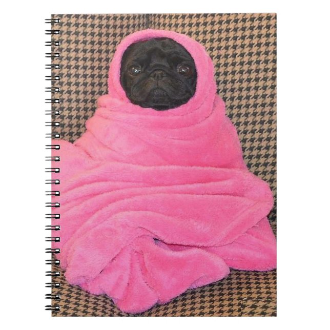 Black Pug in A Rosa Blanket Anteckningsbok Med Spiral (Framsidan)