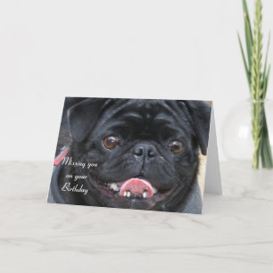 Black Pug-kortet saknas på din födelsedag Kort