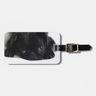 Black Pug Puppy Bagagebricka
