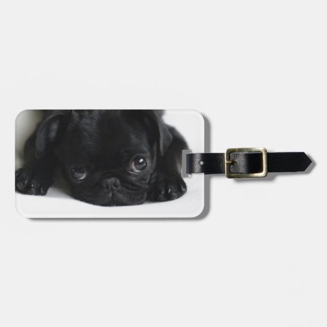 Black Pug Puppy Bagagebricka (Horisontell Framsida)