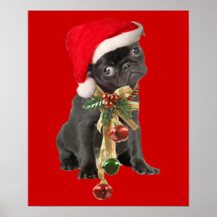 Black Pug Puppy jul Porträtt Poster
