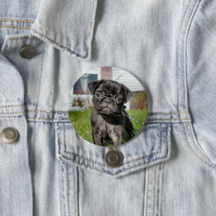 BLACK PUG PUPPY KNAPP