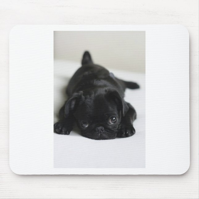 Black Pug Puppy Musmatta (Framsidan)