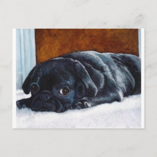 Black Pug Puppy Vykort