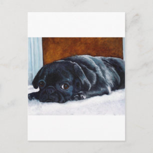 Black Pug Puppy Vykort