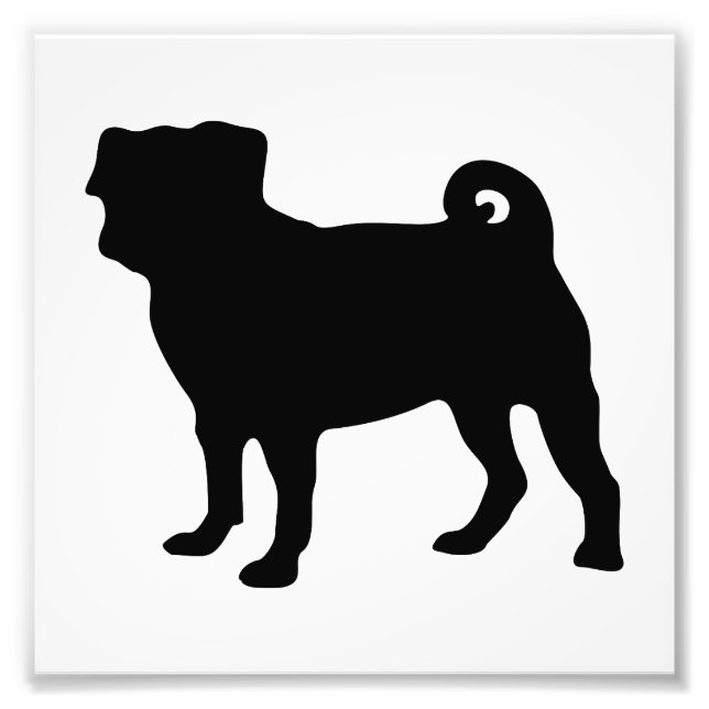 Black Pug Silhouette - enkel vektordesign Fototryck (Framsidan)
