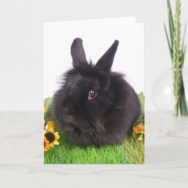 black rabbit helgkort (Framsida)