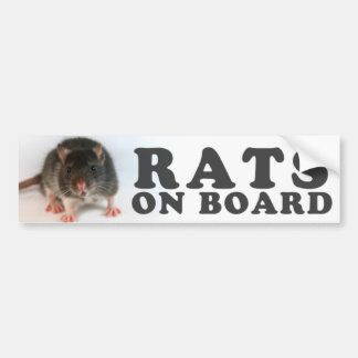 (Black) Rats on board Bildekal