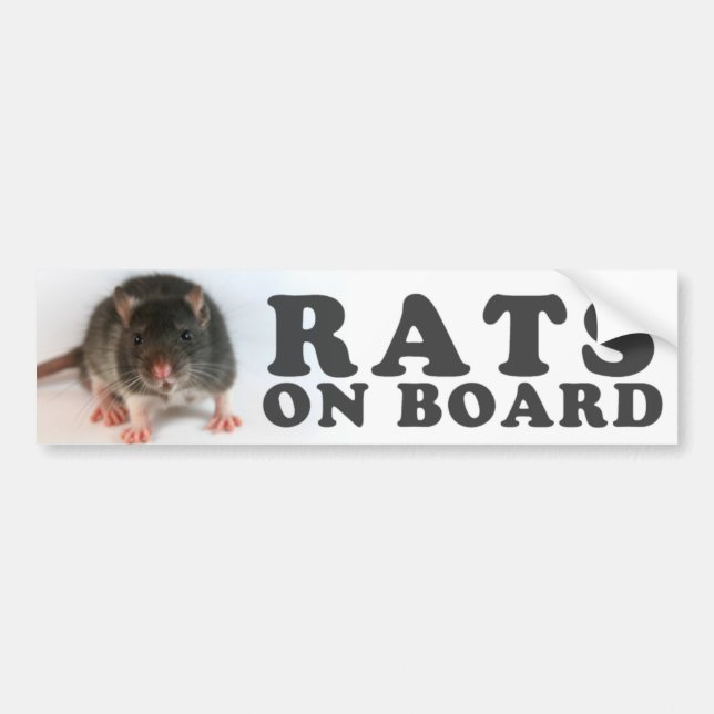 (Black) Rats on board Bildekal (Framsidan)