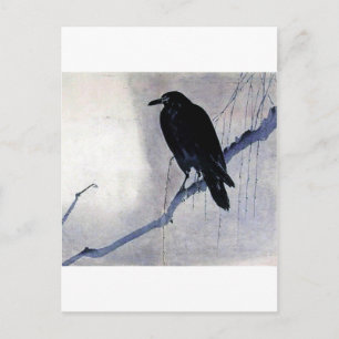 Black Raven Bird Vykort