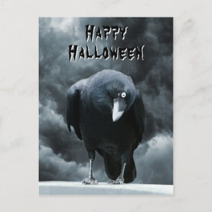 Black Raven Halloween Vykort