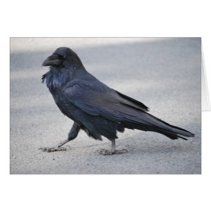 Black Raven Hälsningskort