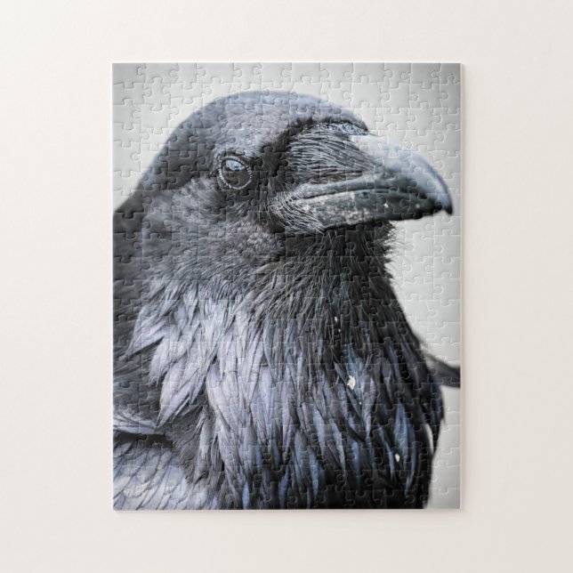 Black Raven Kråka Bird Pussel (Vertikal)