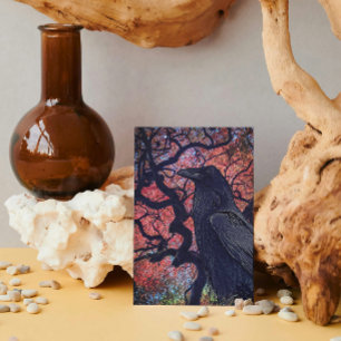 Black Raven och Gnarly Japansk Maple Träd Kort