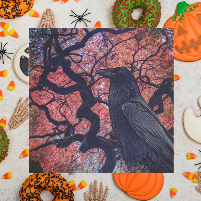 Black Raven och Gnarly Japansk Maple Träd Pappersservett (In Situ Halloween)