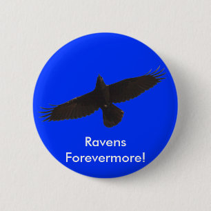 Black Raven Series Knapp