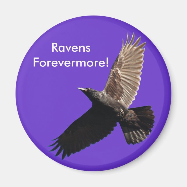 Black Raven Series Magnet (Framsidan)