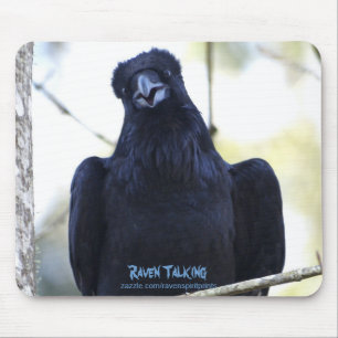 BLACK RAVEN TALING MUSMATTA