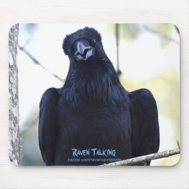 BLACK RAVEN TALING MUSMATTA (Framsidan)
