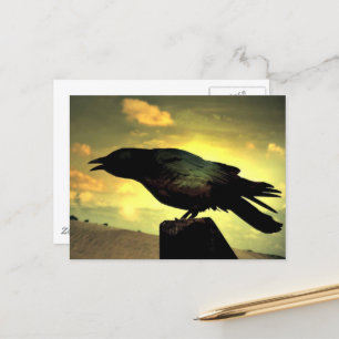 Black Raven Vykort