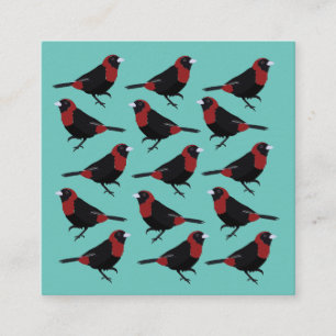 Black Red Crimson-CollRED Tanager Songbird Fyrkantigt Visitkort