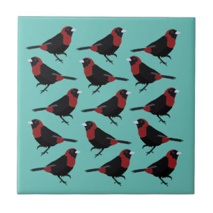 Black Red Crimson-CollRED Tanager Songbird Kakelplatta
