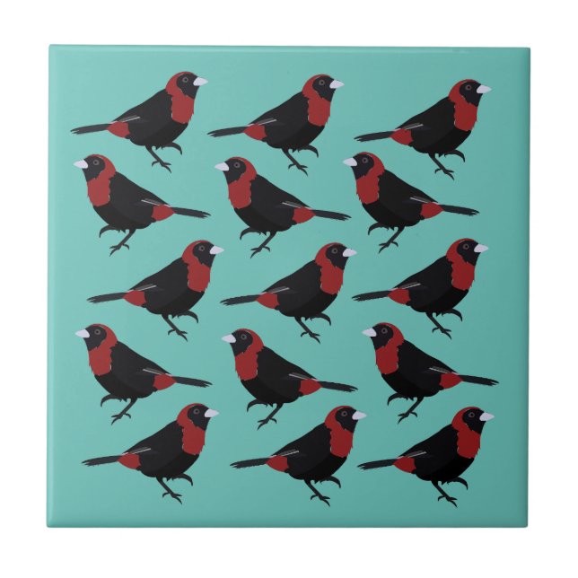Black Red Crimson-CollRED Tanager Songbird Kakelplatta (Framsidan)