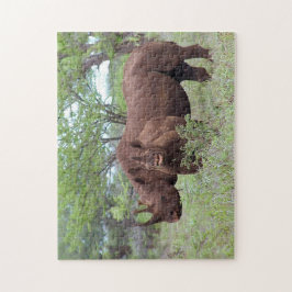 Black Rhino med Calf Pussel