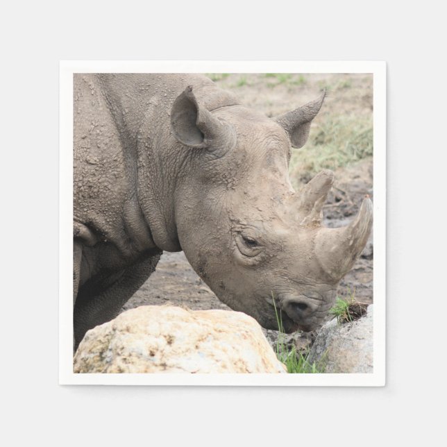 Black rhino pappersservett (Framsidan)