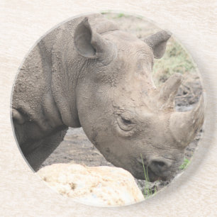Black rhino underlägg