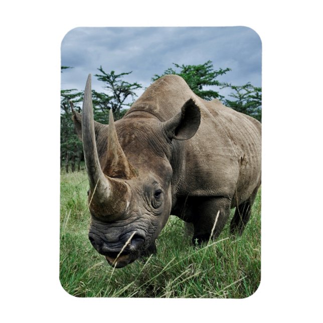 Black Rhinoceros | Kenya Magnet (Vertikal)