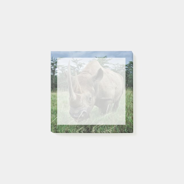 Black Rhinoceros | Kenya Post-it Block (Framsida)