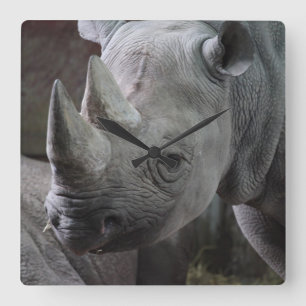 Black Rhinoceros Photo Fyrkantig Klocka