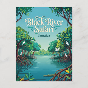 Black River Safari, Jamaica Jamaica Vykort
