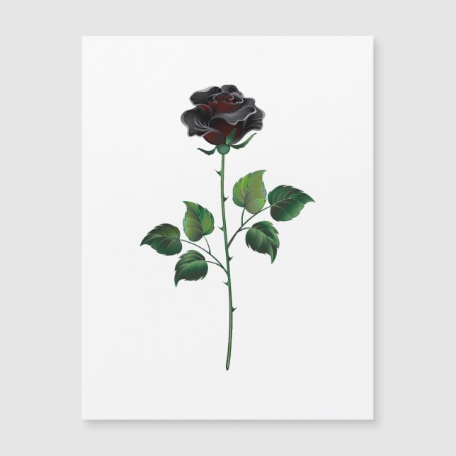 Black ro (Framsida)