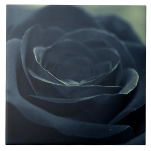 Black Ro Flower Mörk Gothic Vibe Kakelplatta