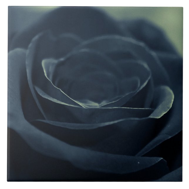 Black Ro Flower Mörk Gothic Vibe Kakelplatta (Framsidan)