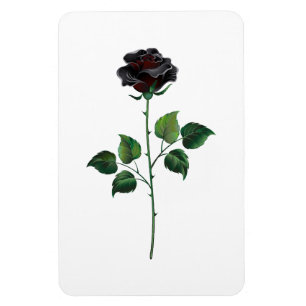 Black ro magnet