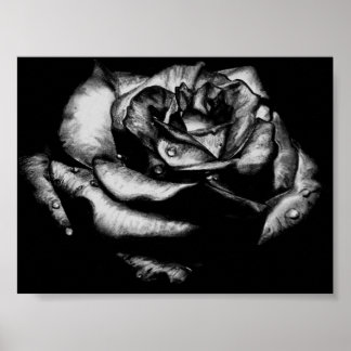 Black Ro Poster
