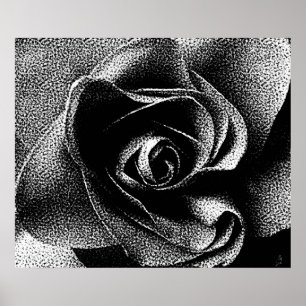 BLACK RO POSTER