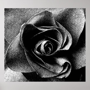 BLACK RO POSTER